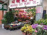 Kowloon Marche aux fleurs 210